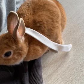 匂い対策の画像