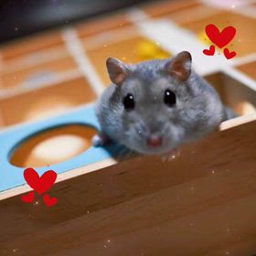 2025.11.2  だいこ1歳11ヶ月目の画像