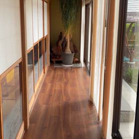 父の法要中の出来事: 仏教法話を聞くつばめの画像