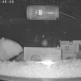 じゃま？かな？？の画像