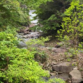 絵になる淡路島の山岳渓流の画像