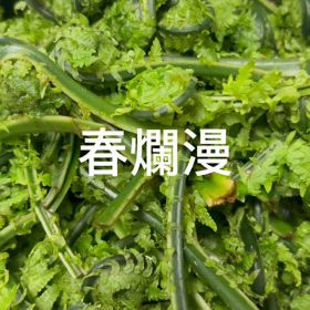 春爛漫　長治庵の画像