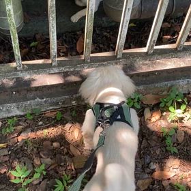 サボってます(･･;)の画像