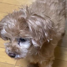 おはようございます️の画像