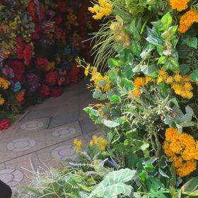 花のトンネルの画像