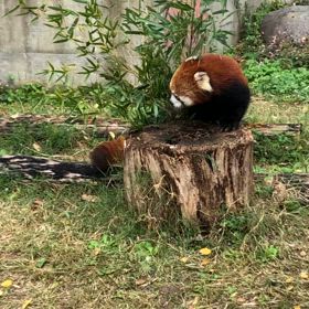 ☆想い出の...☆の画像