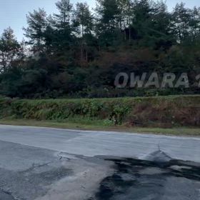 2024年11月3日（日）のおわらサーキットの画像