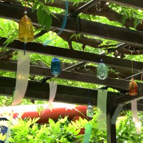 KIN81   赤い龍　青い嵐　音3の画像