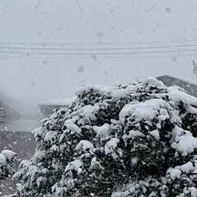 韓国ドラマ　2月視聴記録の画像