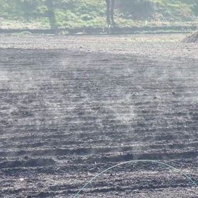 じゃがいも畑の画像