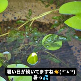 最近こんな動画撮影しましたの画像