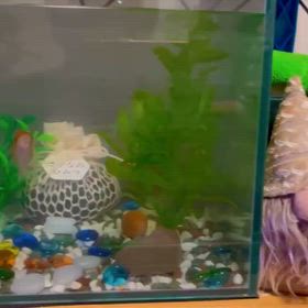 「娘～帰宅！」の画像