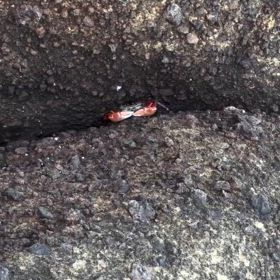 退屈になってしまうの画像