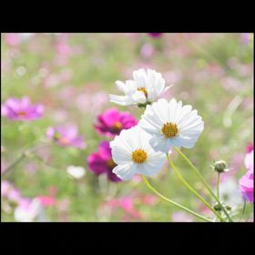 どうにも上手くできない時に助けて頂き、めちゃくちゃに感謝です　♡の画像