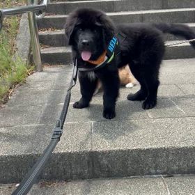 日々成長の画像