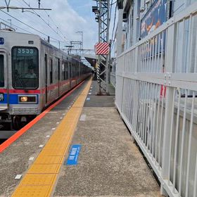 2024/07/31の画像