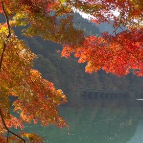 下原ダムの画像