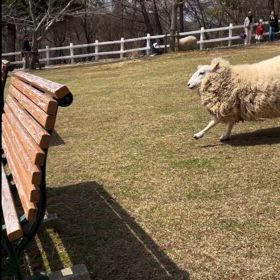 転けてるのになかったことにするなよの画像