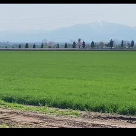 のどかな景色の画像