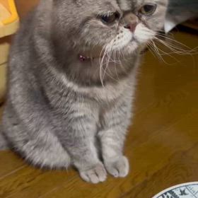 いえーーーい‼️の画像