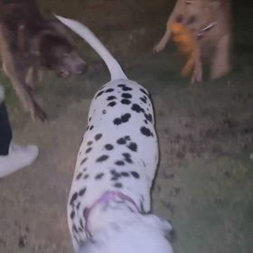 マナーと躾。の画像