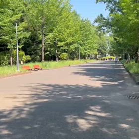 航空公園練習⑤の画像