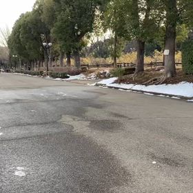 リレー選考会（女子）ゴール付近②の画像