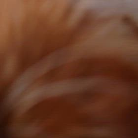 うみとやま1947日目（生後5年5ヶ月13日）の画像