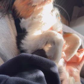 ◼️幸せなひととき◼️の画像