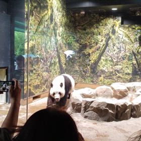 上野動物園へ　その４の画像