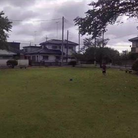 Day30　盆明けフルスロットルの画像