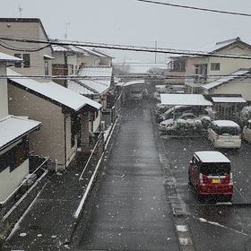 何年振りの雪景色？の画像