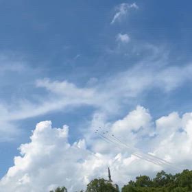 ブルーインパレスの画像