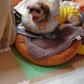 ３月最後の画像