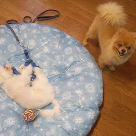 2024年8月19日月曜日の画像