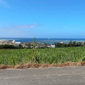 沖縄の津波警報の画像