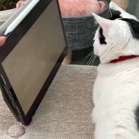 ぷく　NG先生に動画を見せられる（NG先生から送られてきた動画）の画像