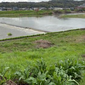 昨日の散歩道での画像