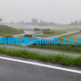 激しい雨の画像