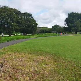 ハイレベ練習（300インターバル）⑤の画像