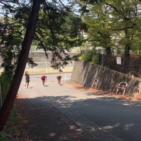 いろいろの画像