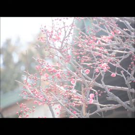 楽しく、コツコツ、練習♪練習♪　♡の画像