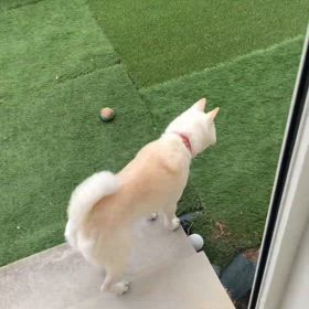 娘が作ってくれました②の画像