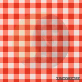 DOGXDOG チョコちゃんの画像