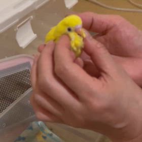 当店に来たからには幸せにおなり〜♡の画像