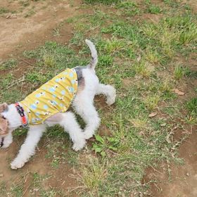 ロックの日の画像