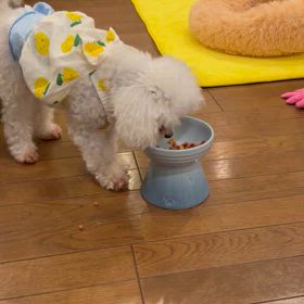 引きこもりの画像