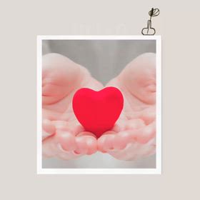 Cottoha〜ことは〜についての画像