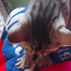 フミフミ♪の画像