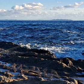 水温13度、今日は石鯛釣りの画像